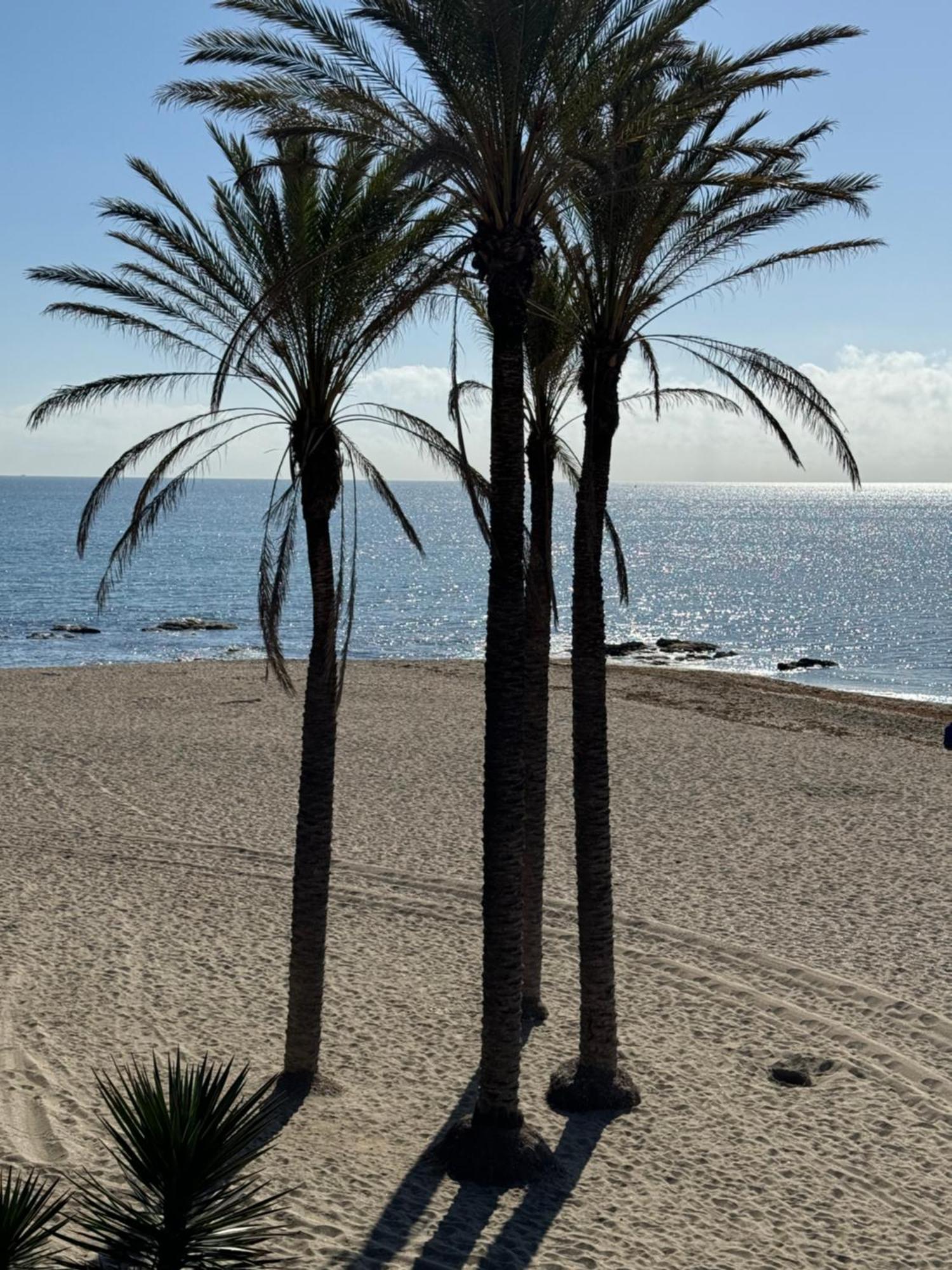 Brand New Studio Benalmádena Extérieur photo